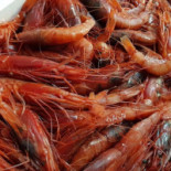 Royal Reef Nourriture