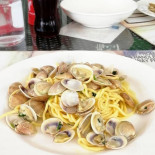 Cassiopea Comida