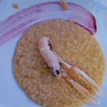 Angolo Blu Nourriture