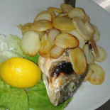 Barracuda Nourriture