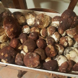 Dai Mugnai Comida