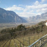 Agritur La Lanterna Nourriture