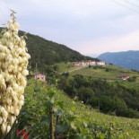 Agritur La Lanterna Nourriture