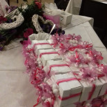 50 Special Nourriture