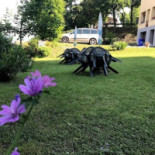 Albergo Montevenere Exterior