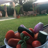 Baccatoio Nourriture