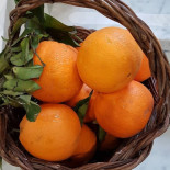 Rosanero Comida