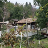 Agriturismo Carpineto