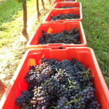 Cantina De Pra Nourriture