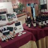 Antica Trattoria Gabri Cibo