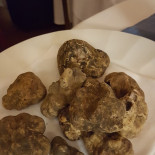 Bitone Food
