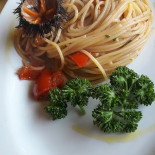 Dal Mollusco Nourriture