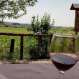 Antica Trattoria Al Molinetto
