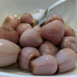 Alogne Cibo