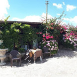 Agriturismo Li Sciappeddi inside