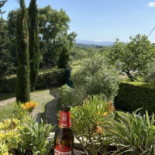 La Compagnia Del Chianti food