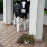 Caseificio Lia Extérieur