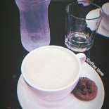 Chipper Cibo