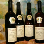 Cappelli Food