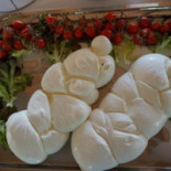Borgorosa Nourriture