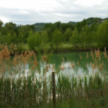 Casa Del Fiume food