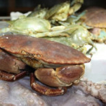 Fresh And Fried Nourriture
