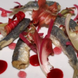 De Pisis Comida