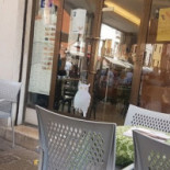 Bella&brava À l'intérieur