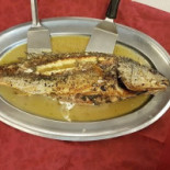 Piacere Gusto Carte