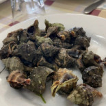 La Balena Nourriture
