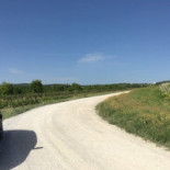 Fattoria Del Cerro outside