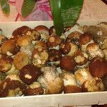 Da Regina Comida