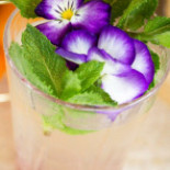 Emilio Cafe' Nourriture