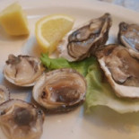 Il Gabbiano Comida