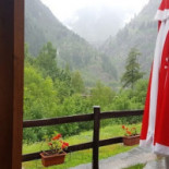 Pineta Lago Nourriture