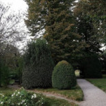 Villa Calciati Comida