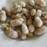 La Sosta Nourriture