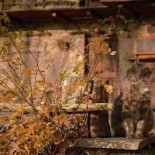 Il Cascinotto À l'intérieur