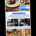 Sebastian's Fish Drink Dentro