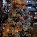 Pina Di Fonti Giuseppa Nourriture