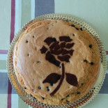 Ridolfi Comida
