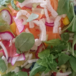 Sebastiano Stefania Comida