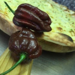 Pizzeria Il Geko Comida