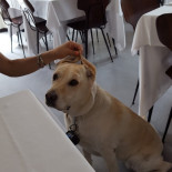 La Bussola Nourriture