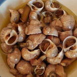 La Taverna Dei Pescatori Nourriture