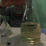 Trattoria Lo Squalo Comida