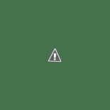 Osteria Dell'asilo Nourriture
