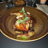 Stk Cibo