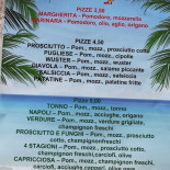 Tortuga food