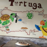 Tortuga